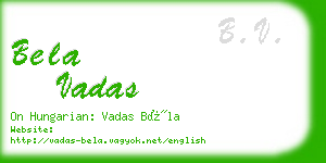 bela vadas business card